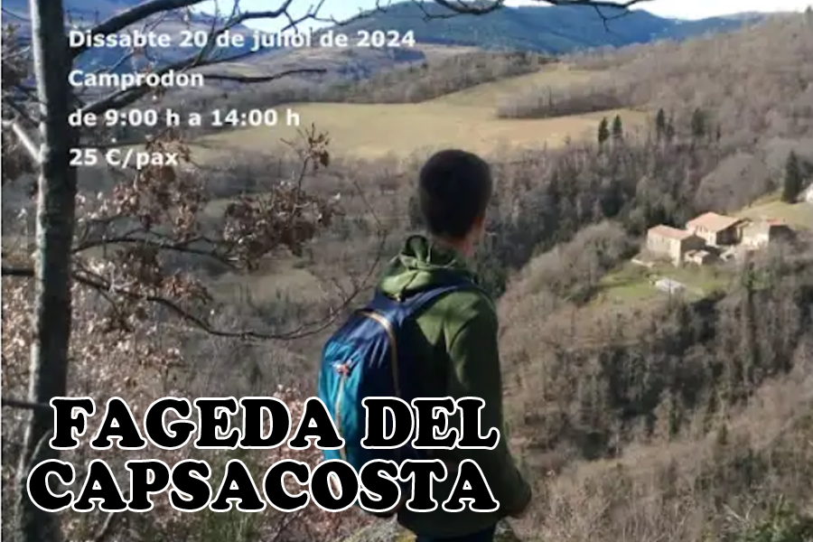 Ruta guiada: La fageda del Capsacosta