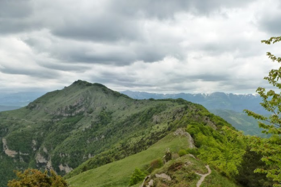 VII Trobada al Coll de Malrem