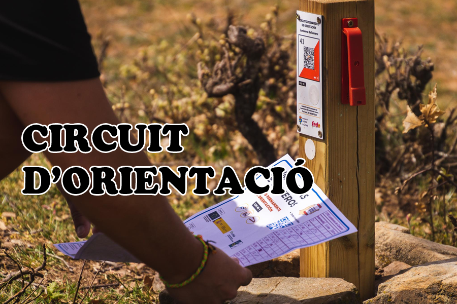 Circuit infantil de motos elèctriques