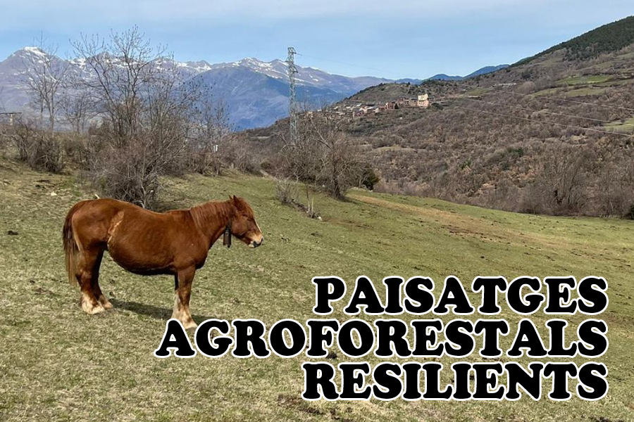 Projecte: "Paisatges agroforestals resilients a la Vall de Camprodon"