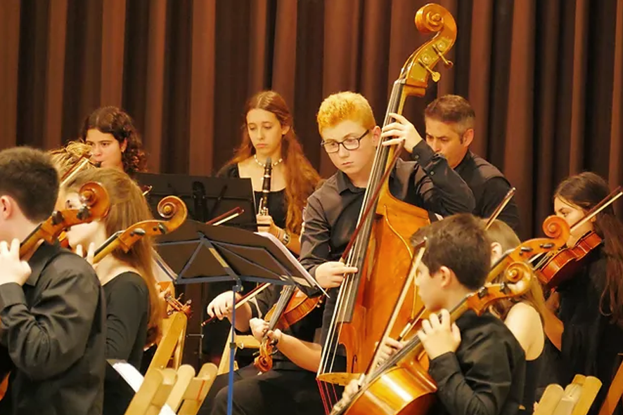 Concert de la Camerata dels Pirineus