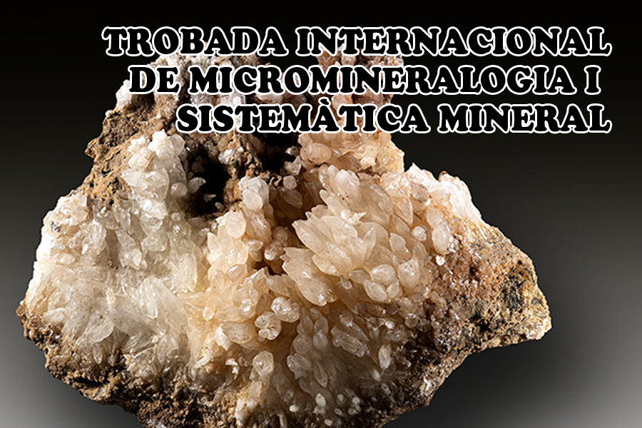 VI Trobada de Micromineralogia i Sistemàtica de Camprodon-Rocabruna