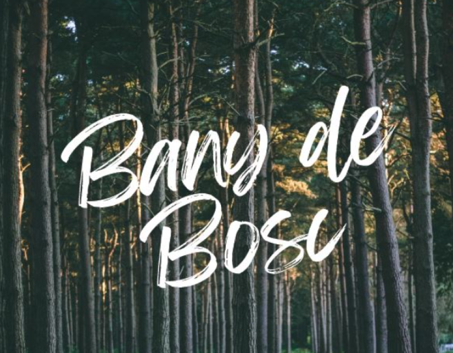 Itinerari sensorial: Bany de bosc