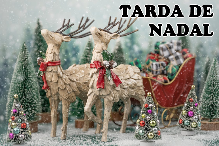 Tarda jove a Setcases: Tarda de Nadal