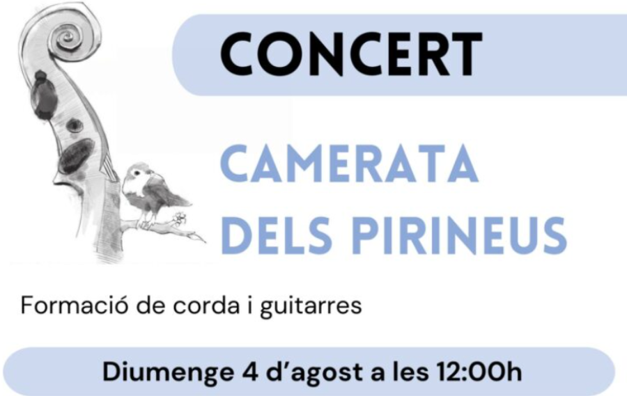 Concert: Camerata dels Pirineus