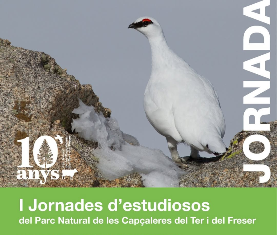 Jornada d'estudiosos del PNCTF