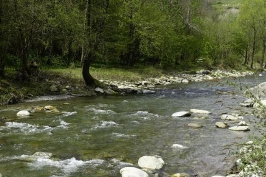 Ruta: Vora el Ter