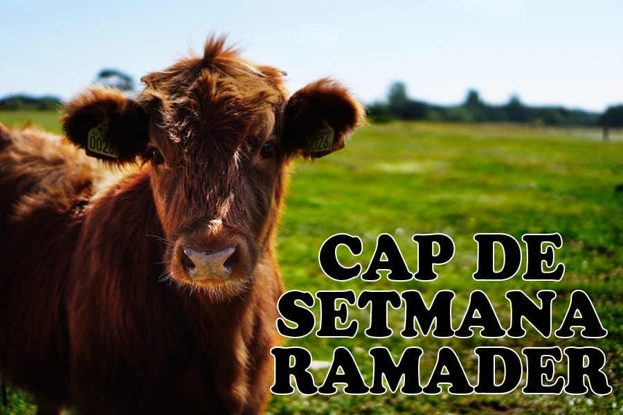 XI Cap de Setmana Ramader: Jocs gegants