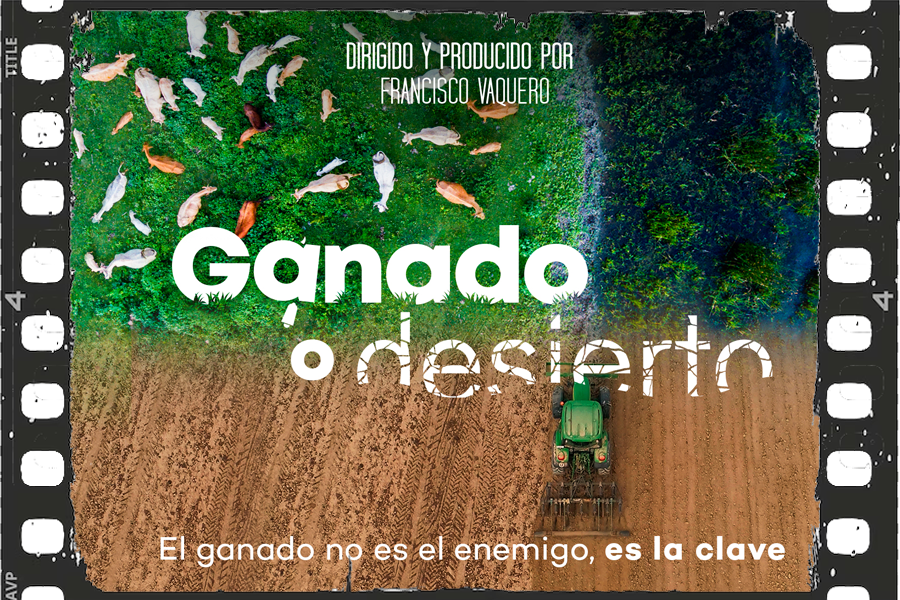 Cineforum: "Ganado o desierto"