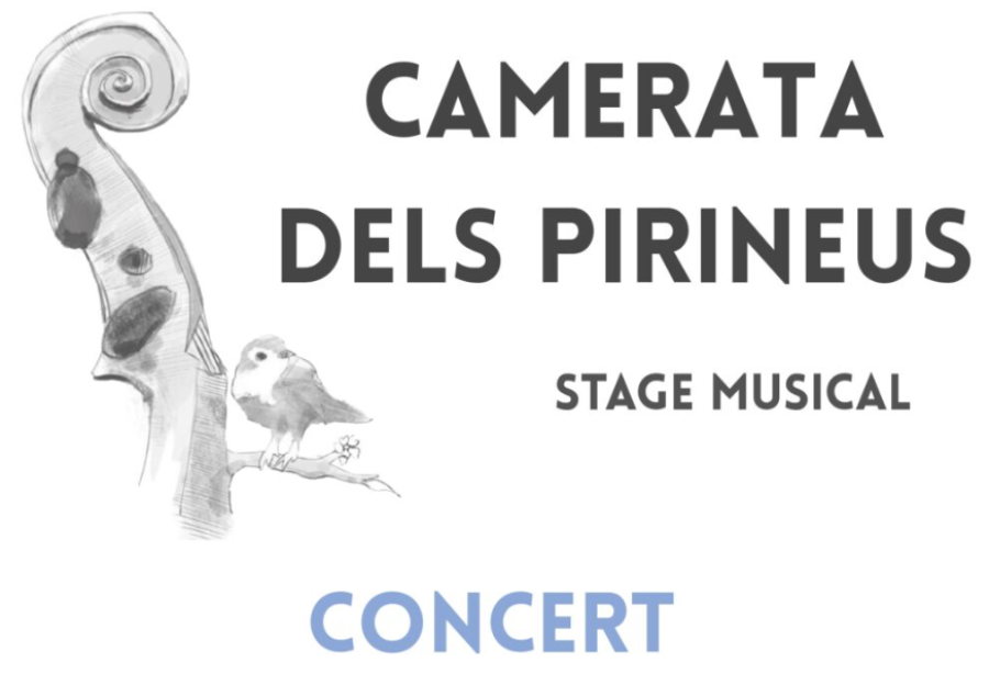 Concert Camerata dels Pirineus