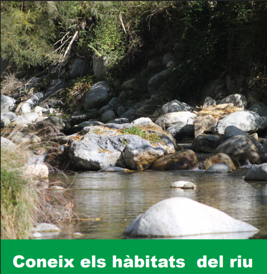 Coneix els hàbitats del riu