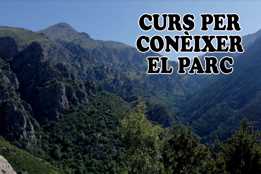 Curs de bon/a coneixedor/a del Parc Natural de les Capçaleres del Ter i del Freser