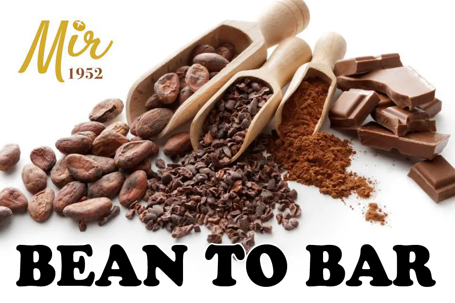 Bean to bar chocolate experience