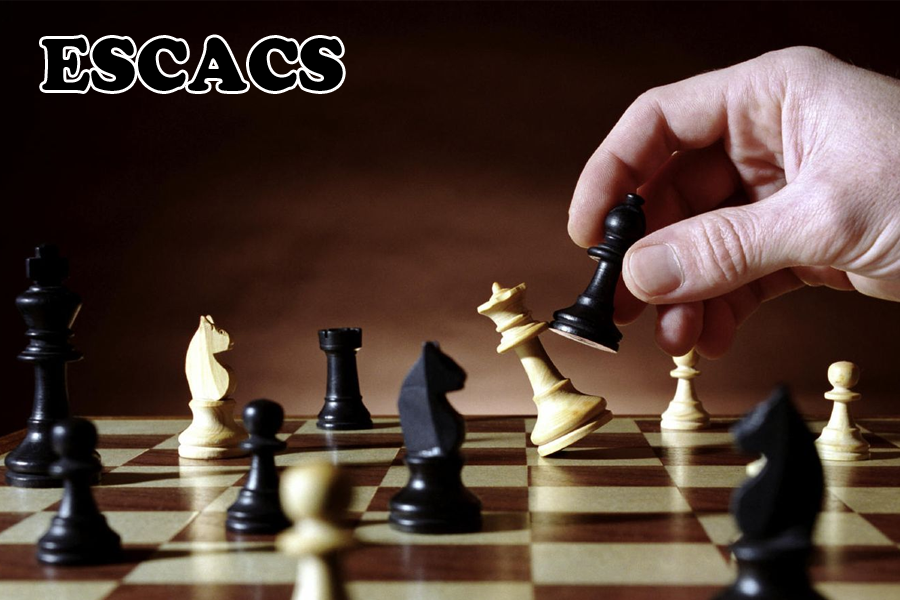 Taller: "Aprèn a jugar a escacs"