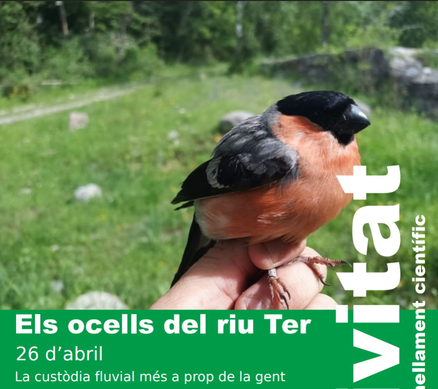 Els ocells del riu Ter: jornada d'anellament científic