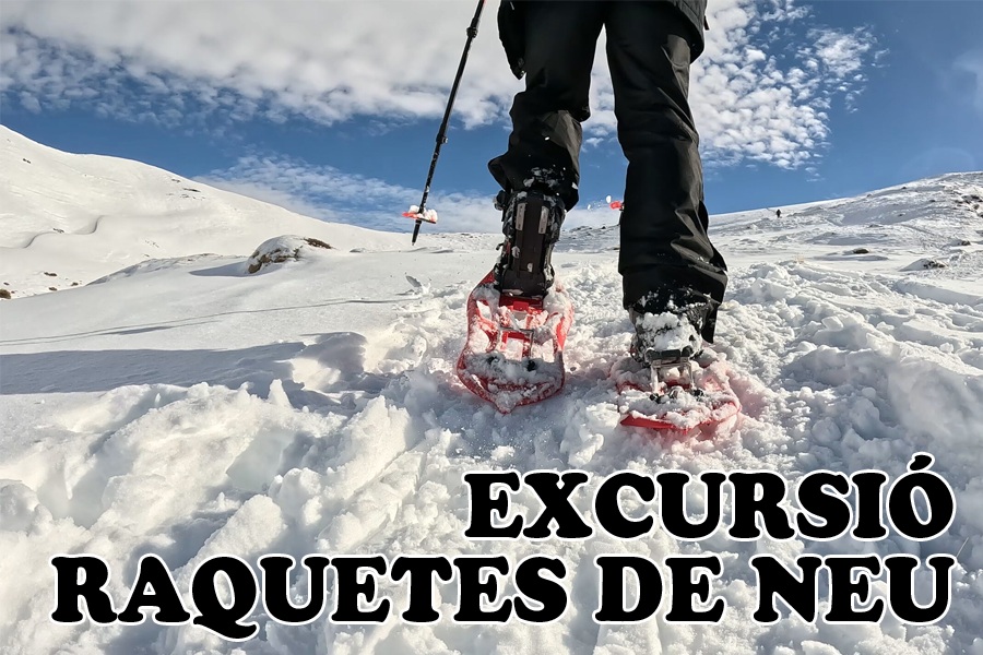 Excursió amb raquetes de neu