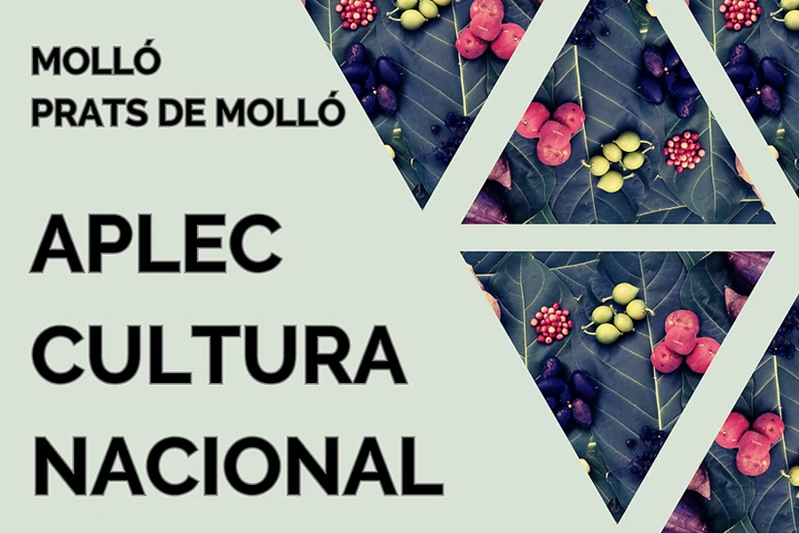 Aplec de Cultura Nacional