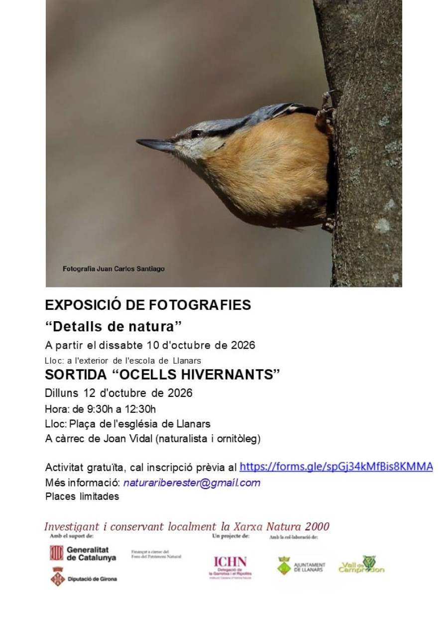 Exposició de fotografies: Detalls de natura