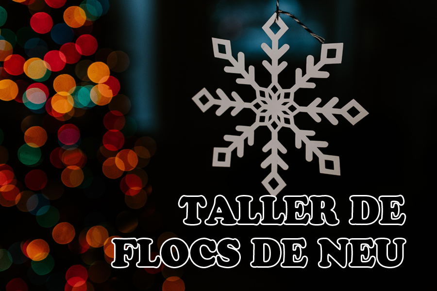 Taller de flocs de neu