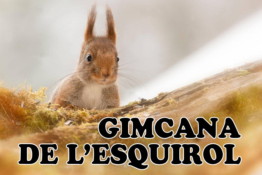 La gimcana de l'Esquirol