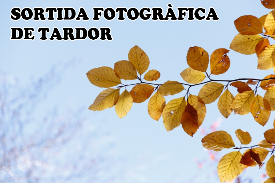 Sortida Fotogràfica de Tardor a la Fageda de Camprodon