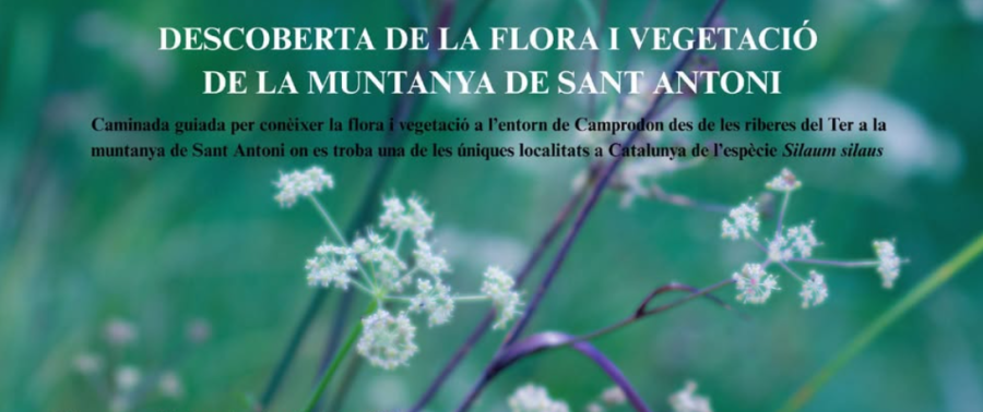 Descoberta de la flora i vegetació de la muntanya de Sant Antoni