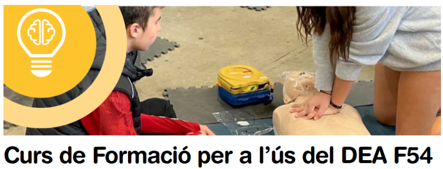 Curs de formació per a l'ús del DEA