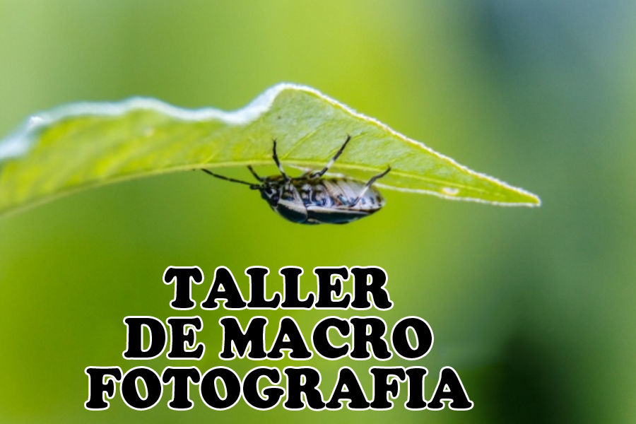 Taller de Macrofotografia i dinar a Mas La Sala