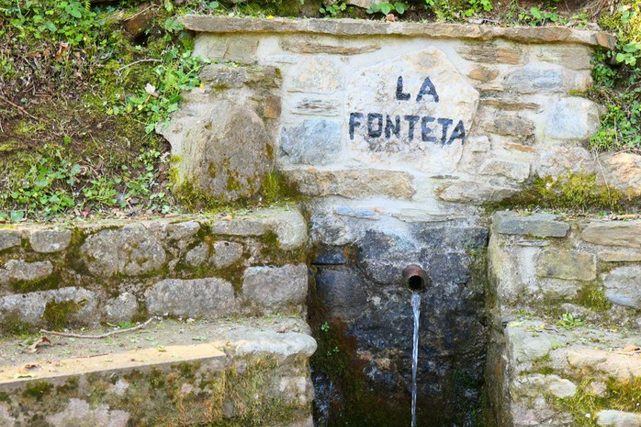Caminada solidària amb l'Oncolliga