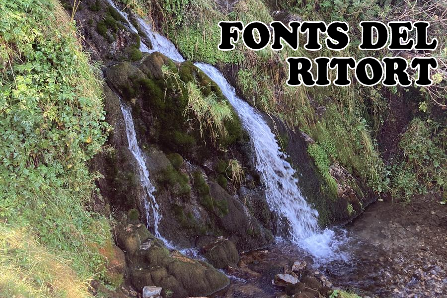 Excursió guiada: "Les fonts del Ritort"