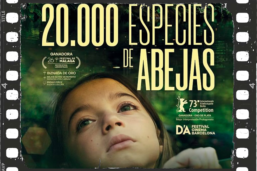 Cinema: "20.000 especies de abejas"