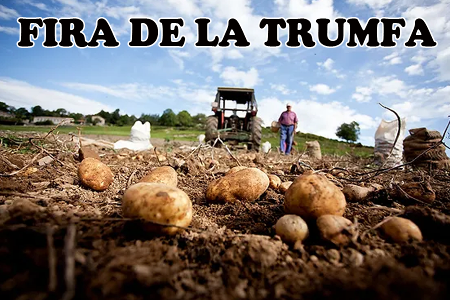 XVI Fira de la Trumfa de Molló: Venda de Trumfes i altres productes