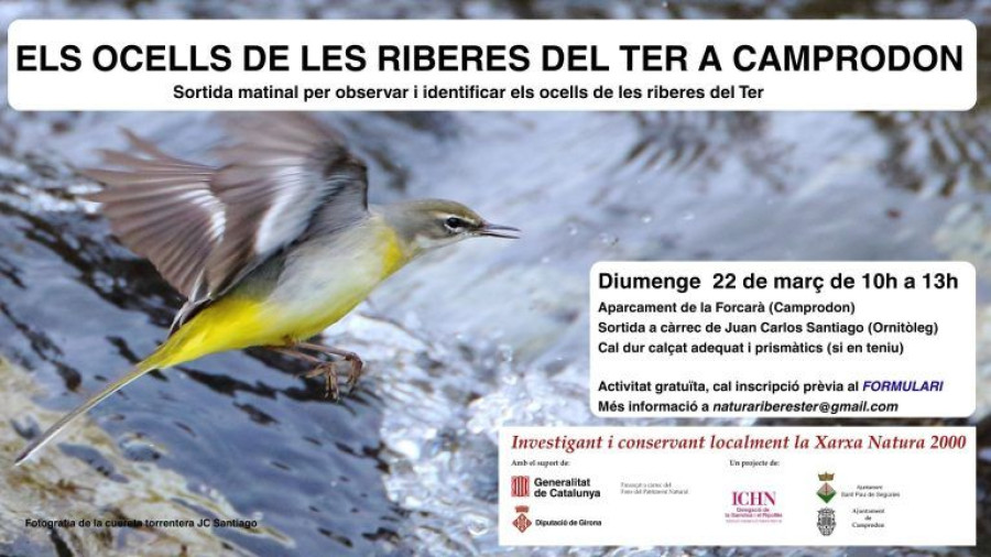 Sortida matinal “Els ocells de les riberes del Ter a Camprodon”