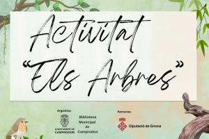 Activitat "Els Arbres"