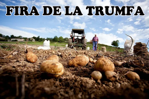 Fira de la Trumfa de Molló