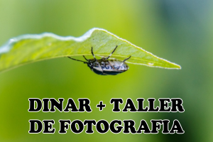 Taller de Macrofotografia i dinar a Mas La Sala