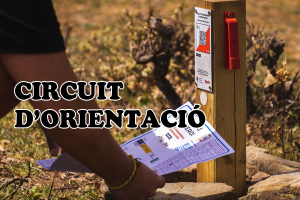 Circuit infantil de motos elèctriques