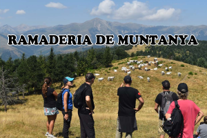 La ramaderia de muntanya