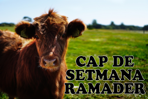 XI Cap de Setmana Ramader: Donada de sal al bestiar