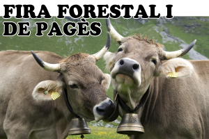 Fira de pagès i fira forestal