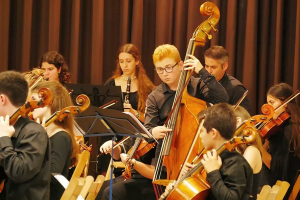 Concert de la Camerata dels Pirineus