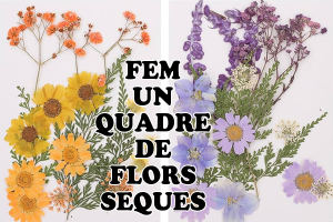 "Fem un quadre de flors seques" amb Cristina Mir