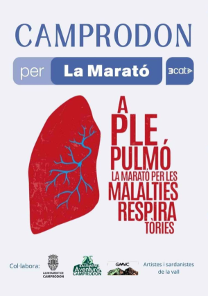 Subhasta d'objectes en benefici de la Marató de TV3