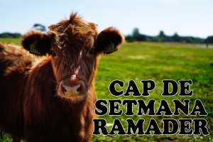 Cap de setmana ramader a Setcases