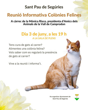 Reunió informativa de Colònies Felines