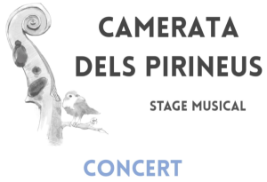 Concert Camerata dels Pirineus