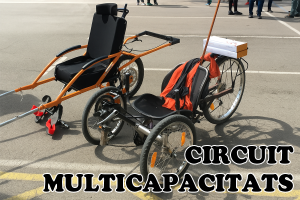 Circuït multicapacitats