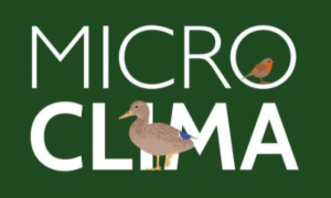 Microclima de Primavera: Joan Masdéu