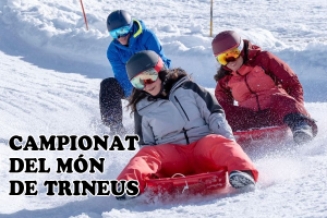 Campionat del món de trineus