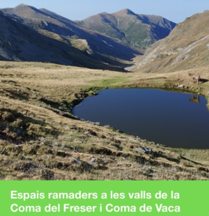 Espais ramaders a les valls de la Coma del Freser i Coma de Vaca